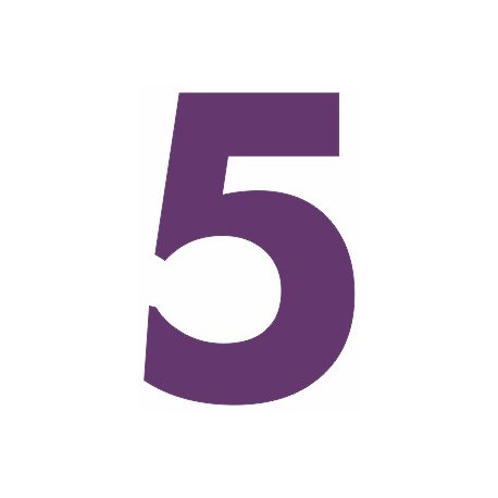 Chiffre 5 (REFM035)