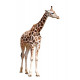 Autocollant Girafe
