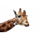 Autocollant Girafe Tête