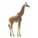 Autocollant Girafe de profil