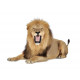 Sticker Lion assis