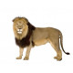 Autocollant Lion debout