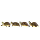 Autocollant Tortues en famille