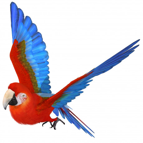 Autocollant perroquet Macaw