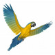 Autocollant mural Perroquet Macaw