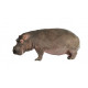 Autocollant Hippopotame de profil