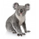 Autocollant Koala