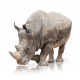 Autocollant Rhinocéros