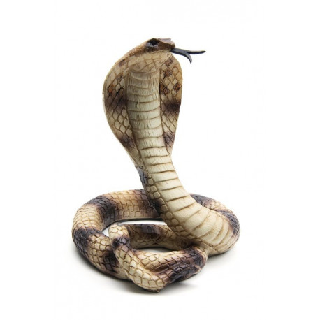 Autocollant mural Serpent Cobra