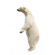 Autocollant Ours polaire debout mural