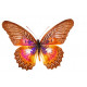 Sticker Papillon multiclor