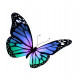 Sticker Papillon jolie