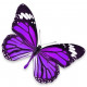 Sticker Papillon violet