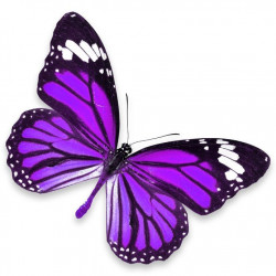 Sticker Papillon violet