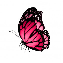 Autocollant Papillon rose