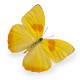 Autocollant Papillon jaune