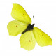 Sticker Papillon jaune fluo