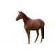 Autocollant Cheval marron