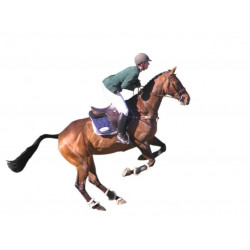 Sticker Cheval de course mural