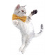 Autocollant Chat saute