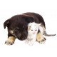 Autocollant Chiot avec chaton