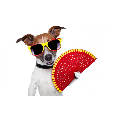 Sticker Chien espagnol