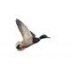 Sticker Canard Colvert Vole