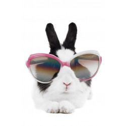 Sticker Lapin avec lunette