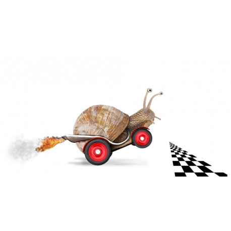 Sticker Escargot voiture