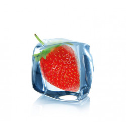 Sticker Fraise glaçon