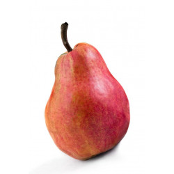 Autocollant Poire rouge