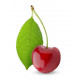 Sticker Cerise avec feuille