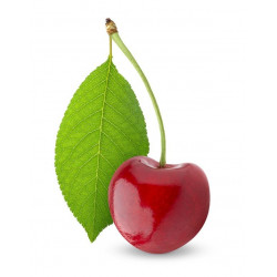 Sticker Cerise avec feuille