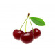 Sticker Cerises