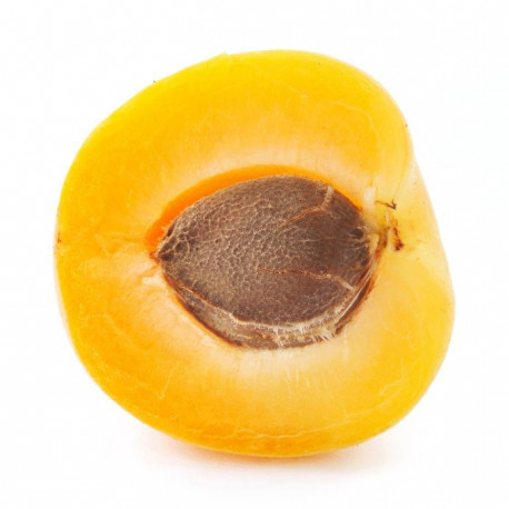 Sticker Abricot coupé