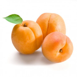 Autocollant Abricots