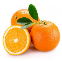 Autocollant Oranges