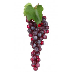 Autocollant Raisin en grappe