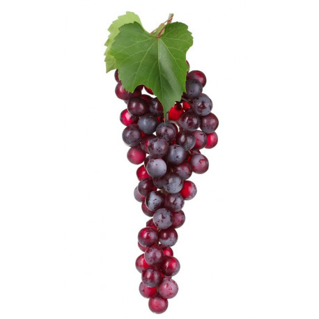 Autocollant Raisin en grappe