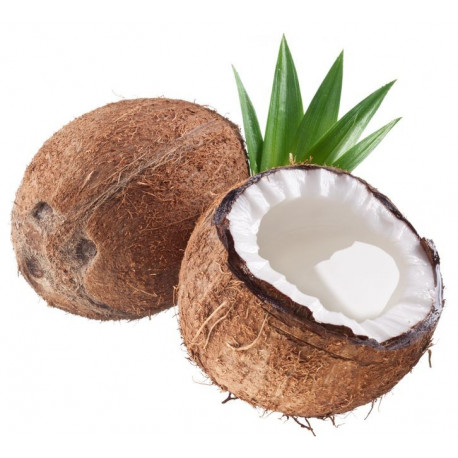 Sticker Noix de coco feuille