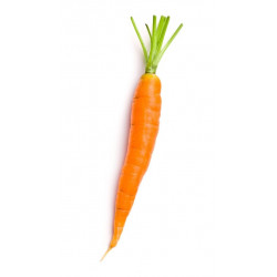 Autocollant Carotte