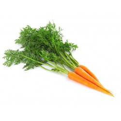 Sticker Botte carottes