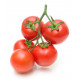 Sticker Tomates grappe