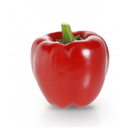 Autocollant Poivron rouge