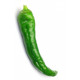 Autocollant Poivron vert