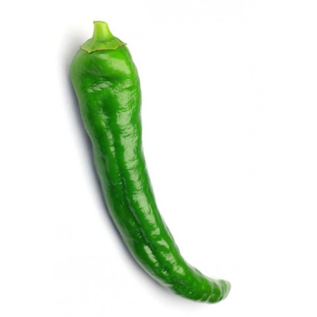 Autocollant Poivron vert