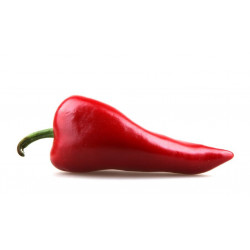 Sticker Piment rouge