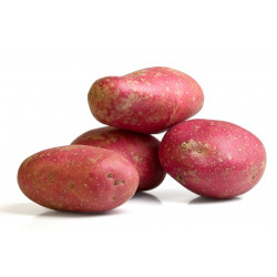 Autocollant Pommes de terre