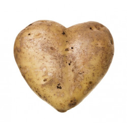 Sticker Pomme de terre coeur