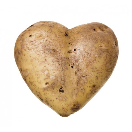 Sticker Pomme de terre coeur